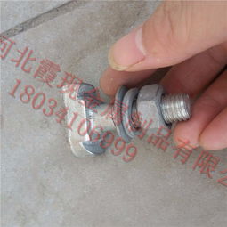 河北霞现金属制品公司生产玻璃幕墙t型螺栓