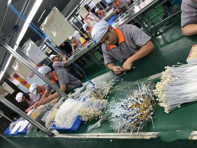 进厂打螺丝怎么了,工人的未来有希望吗?